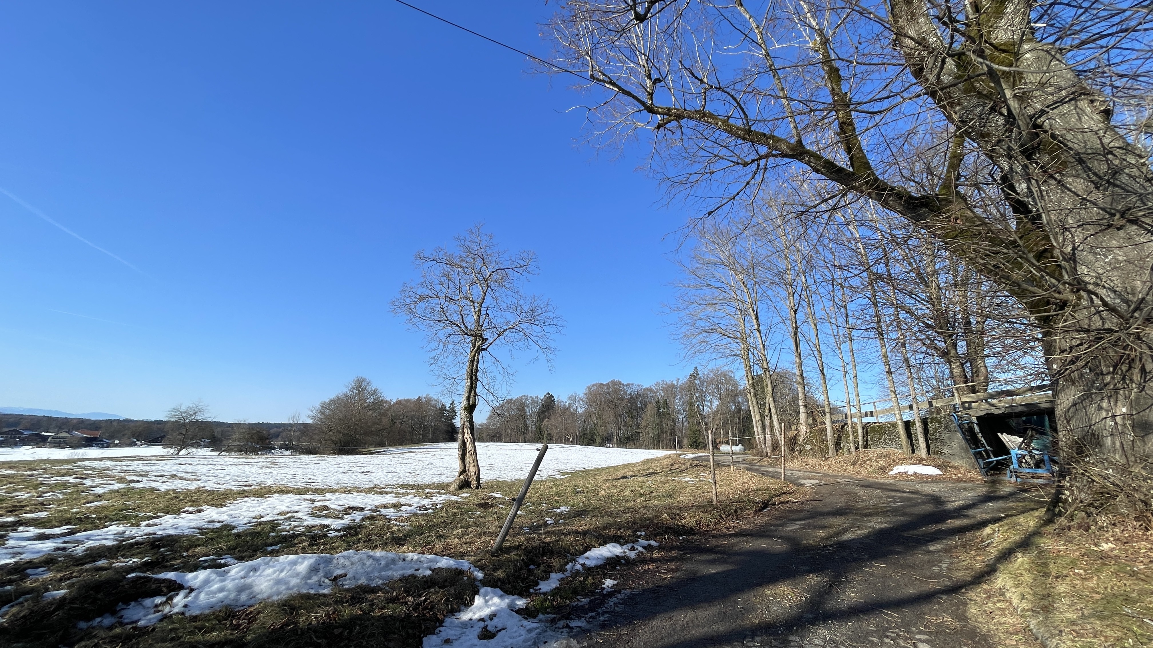 Charmanter alter Bauernhof in traumhafter Lage von Warngau Bild 17