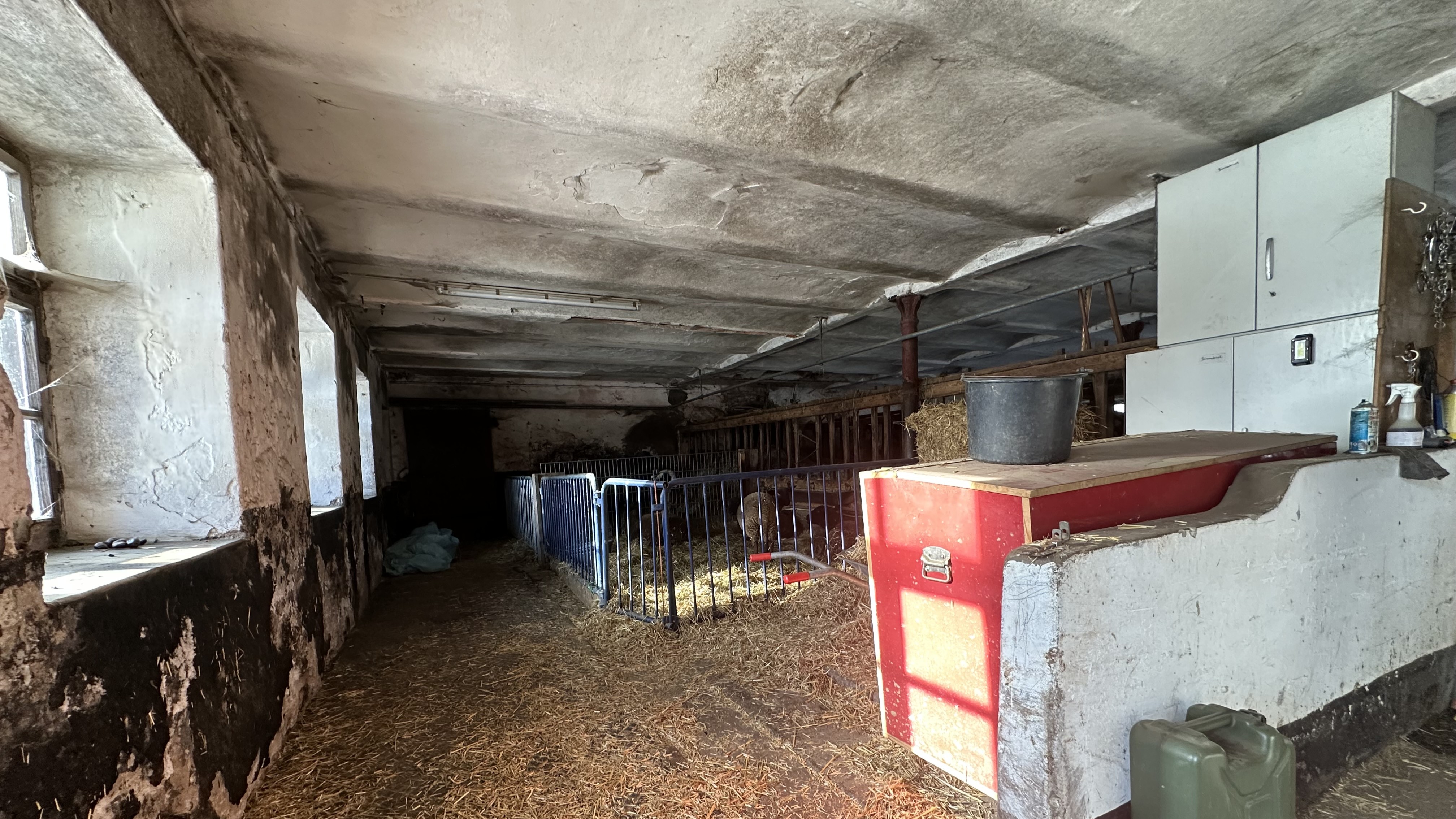 Charmanter alter Bauernhof in traumhafter Lage von Warngau Bild 8