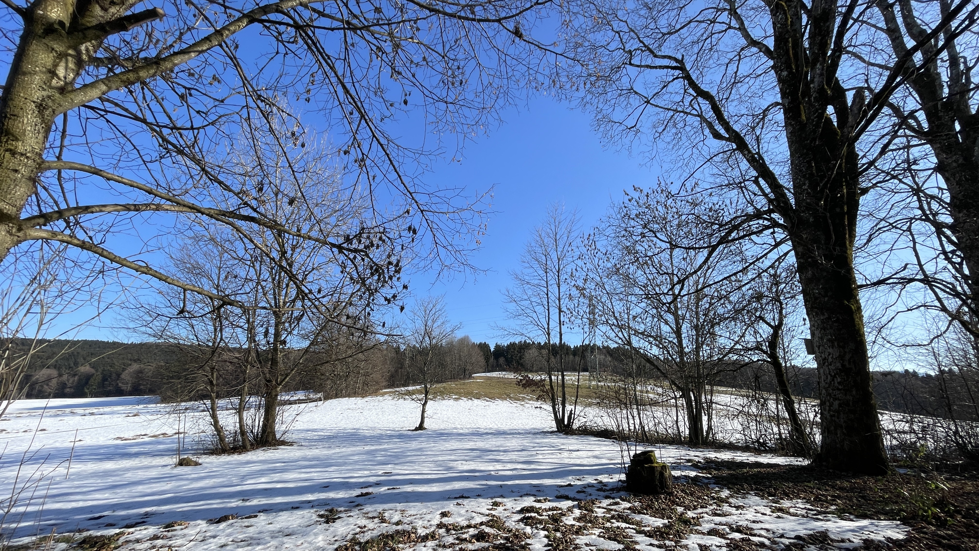 Charmanter alter Bauernhof in traumhafter Lage von Warngau Bild 18