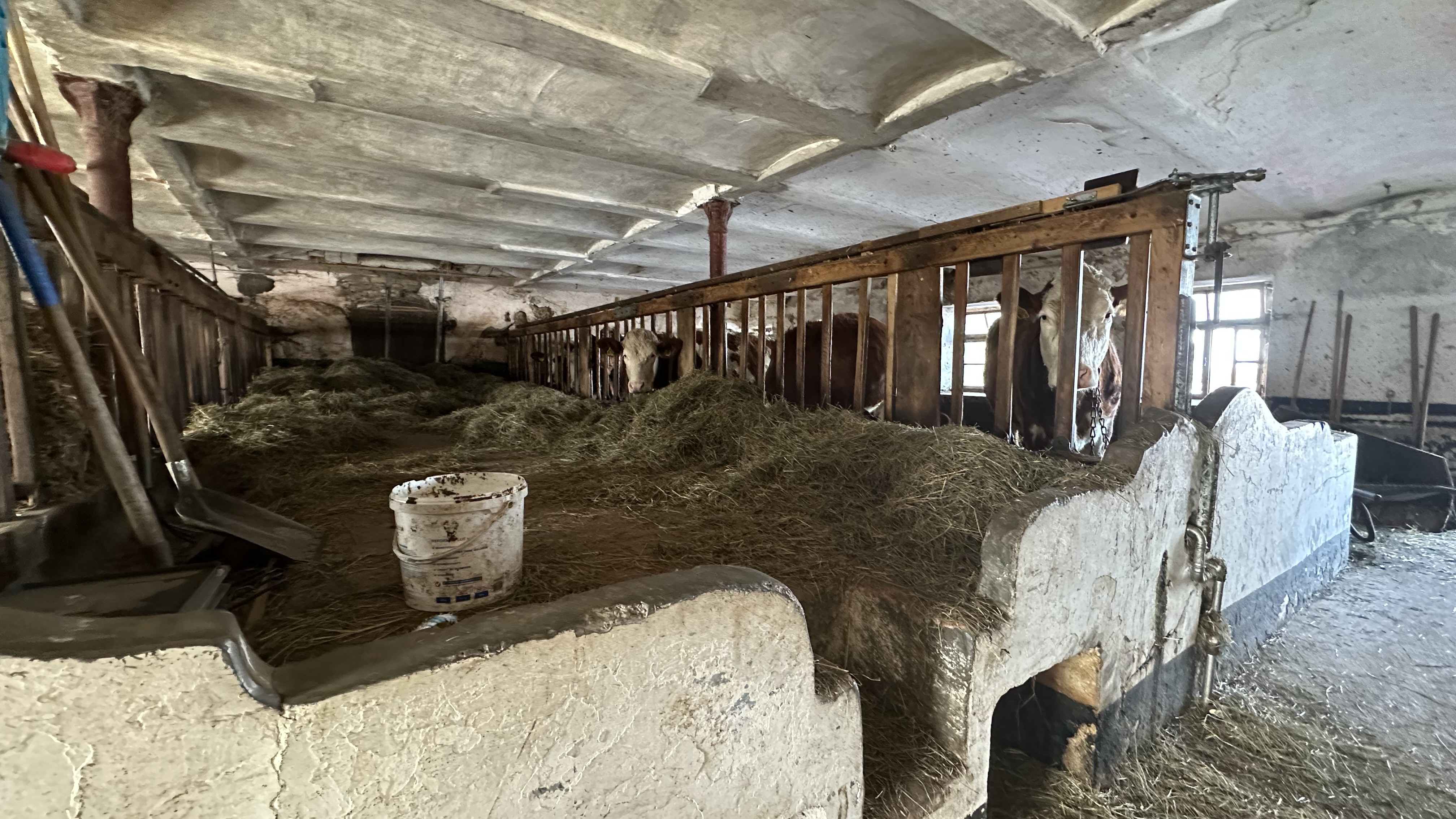 Charmanter alter Bauernhof in traumhafter Lage von Warngau Bild 9